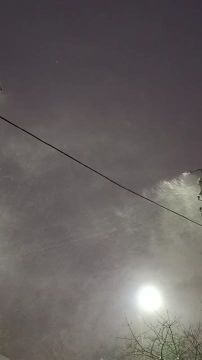 В Дубоссарах сильная метель