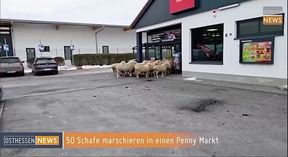 � �������� ������ �������� ����� 50 ���� ��������� � ����������� � �������� ������