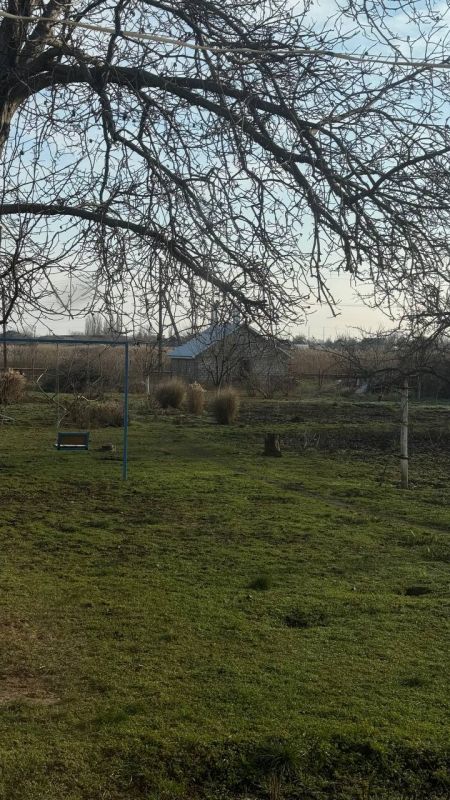 Пока у всех в календаре январь, в посёлке Красное (Слободзейский район), кажется, уже март