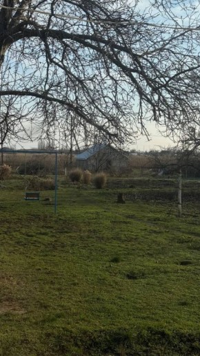 ���� � ���� � ��������� ������, � ������ ������� (������������� �����), �������, ��� ����