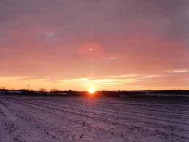 Конец новогодних каникул всё ближе и ближе, но это вовсе не повод проводить пятницу с серьёзным выражением лица