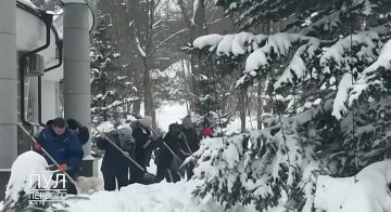 ��������� ������ �� ����� ����� �������� ����� ������������� ����������� ������������� �� ���������� ���������