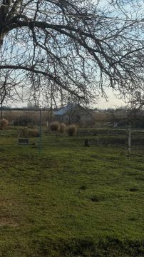 ���� � ���� � ��������� ������, � ������ ������� (������������� �����), �������, ��� ����