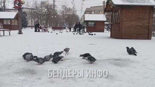 Новогодние каникулы, казавшиеся такими длинными, неумолимо подходят к концу