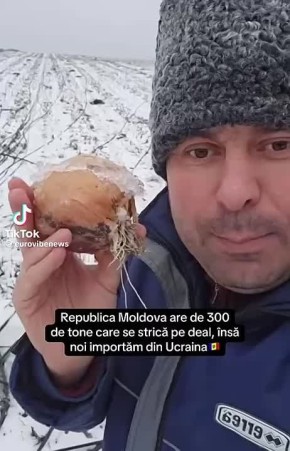 Молдова продолжает закупать лук из Украины, пока отечественный урожай замерзает на полях - депутат Костюк