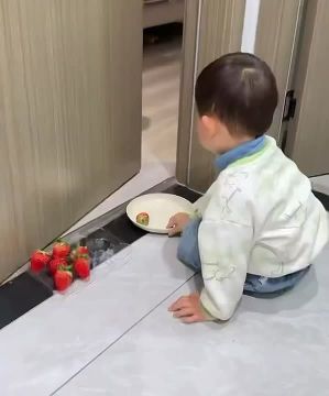 Инвестиции и фондовый рынок — наглядно для самых маленьких