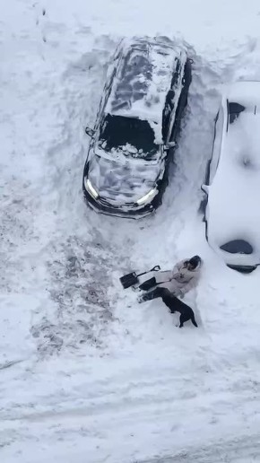 ��������� � ������ �������� ����� � ������ ���������� �� 146 ���, �������� � ��������������