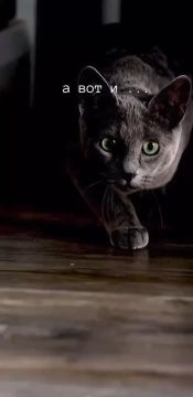 Ну что друзья, праздники закончились