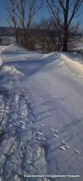 ������ ������� ���������� ������