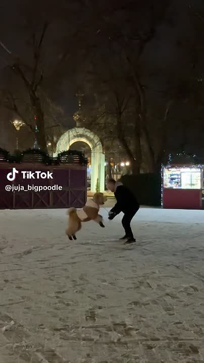 ������� ����� �����, ��� �� ������� �������