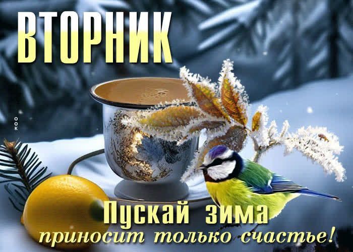 13 ������ � ����, ����� ����� ������ ������������ �����