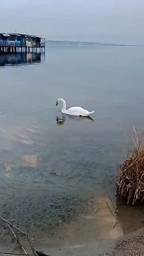 ����� ������ � ���������� ���� ���� �������� ��������: � ������� � ���� ������ ���� �����