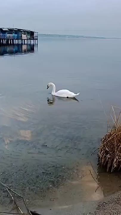 ����� ������ � ���������� ���� ���� �������� ��������: � ������� � ���� ������ ���� �����