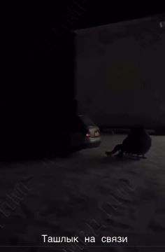 ������, ������� ������ � ���� �� ������� � �������� ������������� ���������� �� ������� �������� ����� �� ������ ������