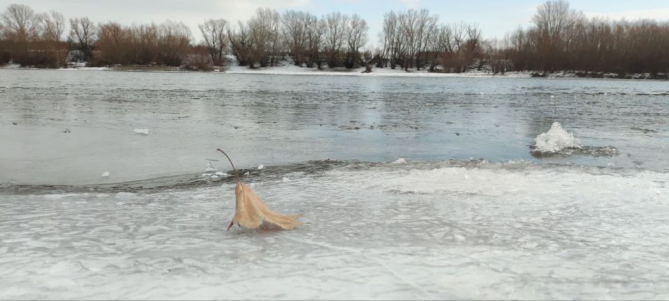 � ������������� ������������ ���������� ������