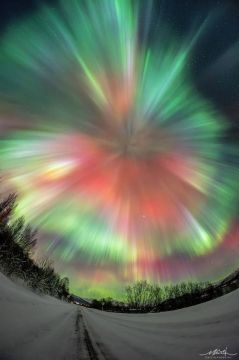 ��� ��������� ������ ����� ����� �������� ������ ������ ����: