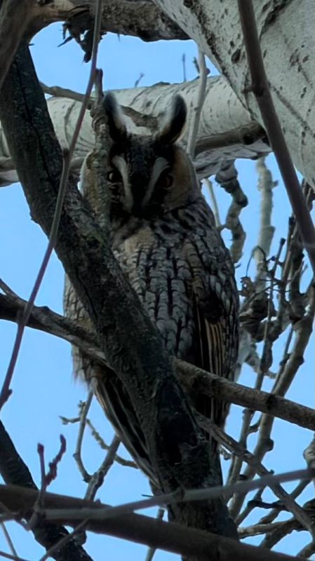 ����� ���� ���������. ���������� ��������� 10 ��� �� ����� ������ �� ����� 40 ��� ������