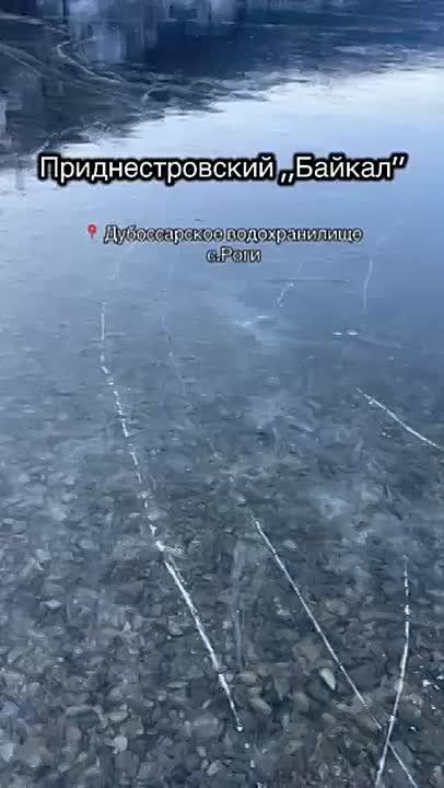 ˸� �� ������������ ������������� ���� ����������