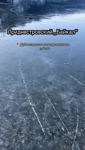 ˸� �� ������������ ������������� ���� ����������