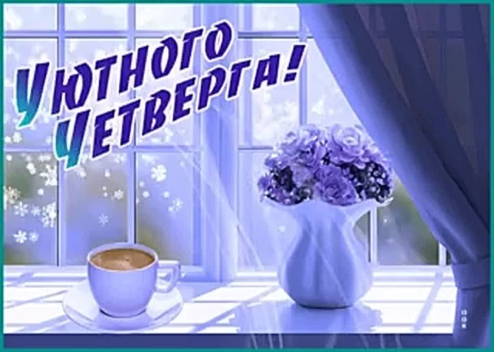 15 ������ � ���� ������������ � �������������