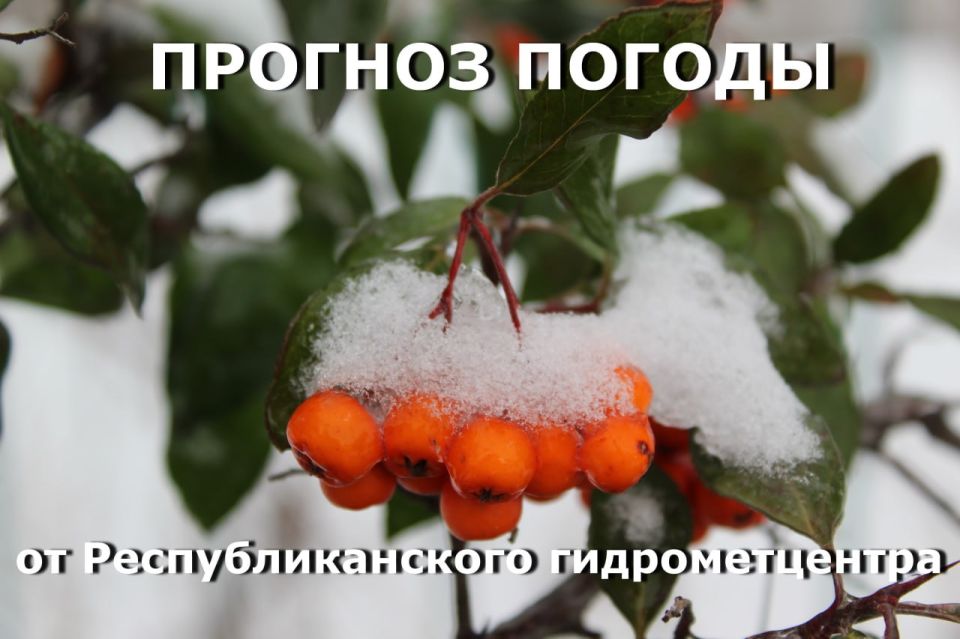 ������ ������ �� �������� ����������� �������������