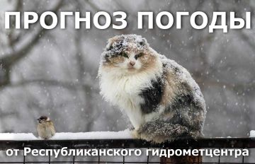 ������� ����!. ������� ������ �� �������, 15 ������