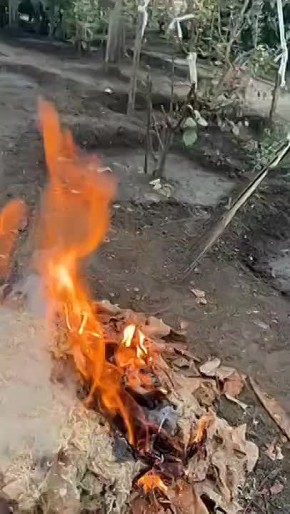 ������������� ���� ������, ����� ������� ������, ������� � �������