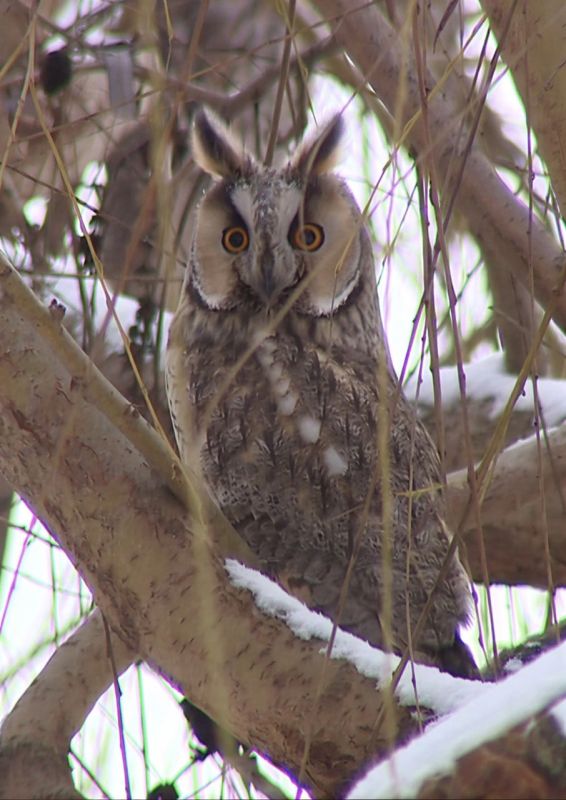 ������� ���� � ��������� ���