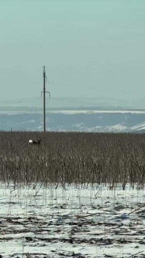 ������� ����� ������� ���������� ������