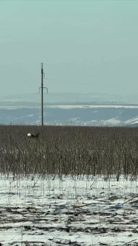 ������� ����� ������� ���������� ������