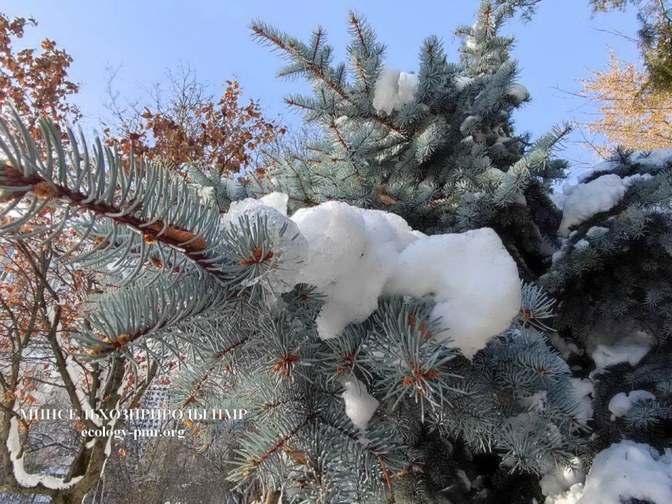 ������� ������ �� 19 � 25 ������