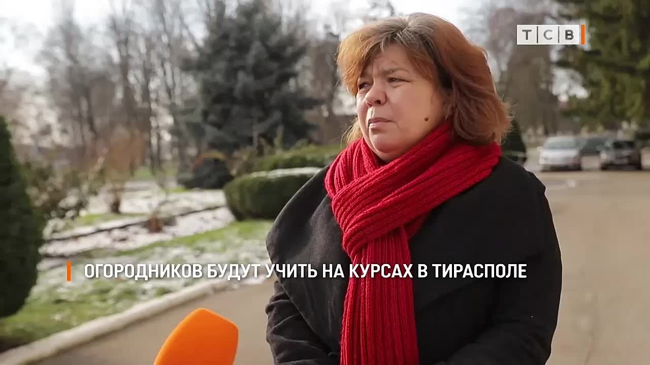 Аграрно-технический колледж будет учить огородников обрезать, выращивать и защищать овощи, фрукты и ягоды