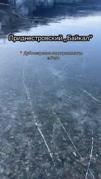 ˸� �� ������������ ������������� ���� ����������