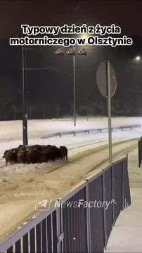 ������� ������ ���� �������� ������� � 200-�������� �������� ������ �������