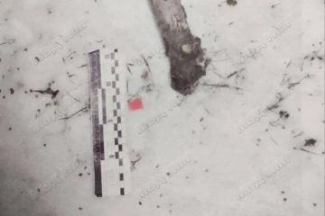 ����������� ������� ��������� � ����, ����� ������� ������������ � ��� ��������