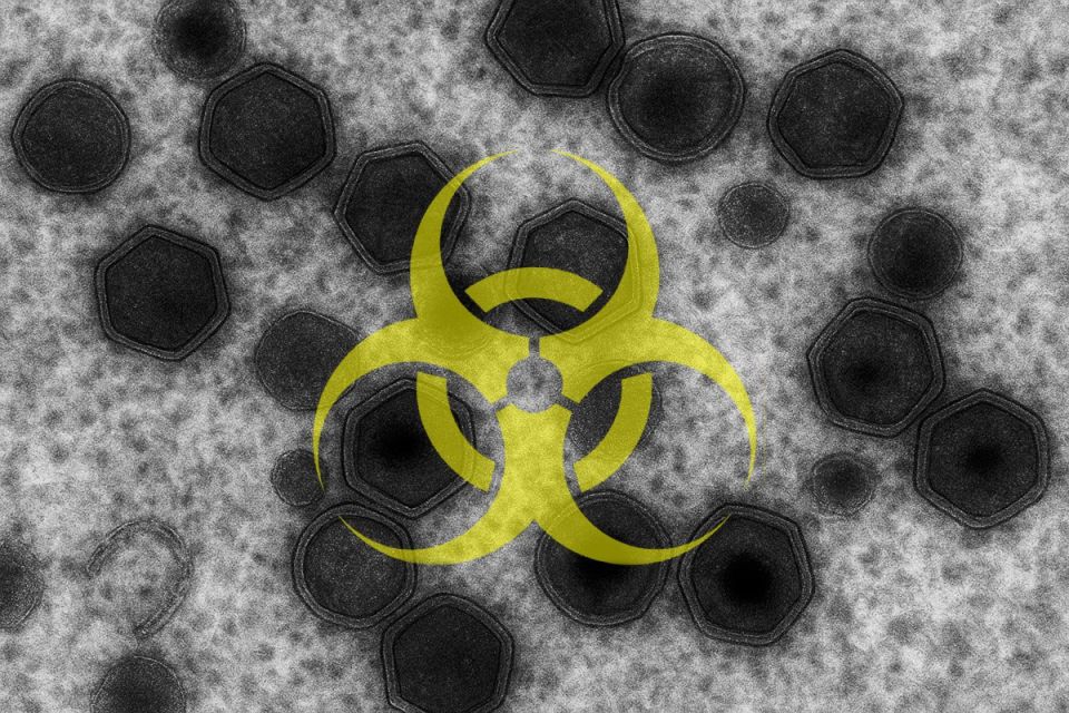 Африканская чума свиней зафиксирована уже в 16 населенных пунктах Молдовы