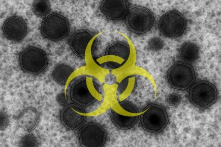 ����������� ���� ������ ������������� ��� � 16 ���������� ������� �������