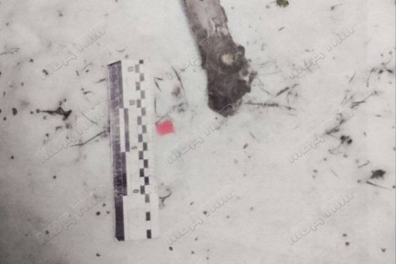 ������� ���������� �� ����������