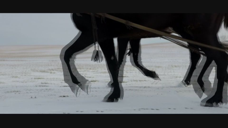 Дом-музей «Ла ботул калулуй» приглашает прокатиться на санях по заснеженным Малаештам