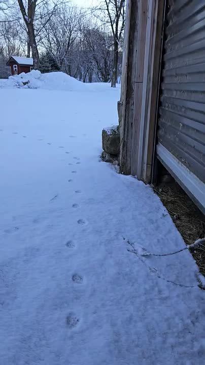 Гололедица продлится все выходные и до следующего вторника, гидромет объявляет штормовое