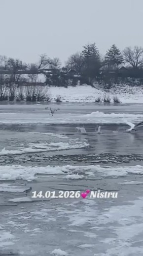 ˸� �� ������� ���� ������� ��������� ��� �������