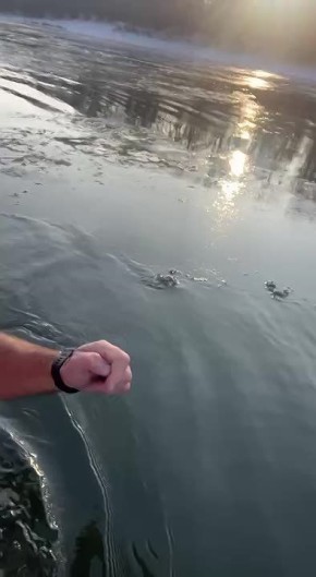 ������������� ��� ������� � ������ �� �����