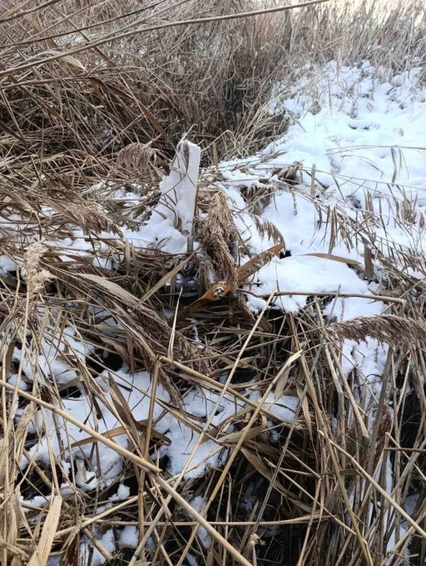 Саперы раскрыли информацию о найденном беспилотнике в Молдове