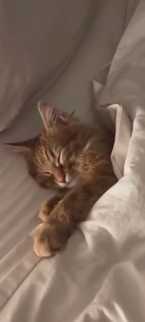 Воскресный релакс