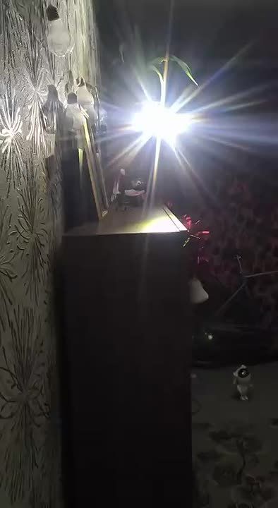 Обстановка в Киеве. Люди в квартирах ставят палатки, а на улицах жгут выброшенные елки, чтобы согреться у костра