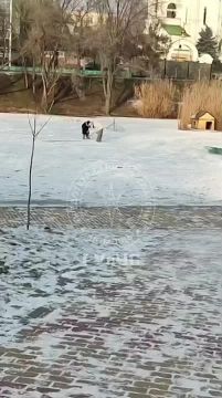 ��������� �����: �������� �� ˨� ������