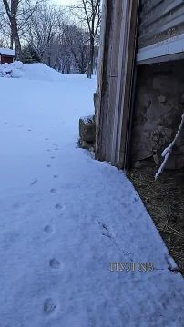 ����� ����� �� �����, � ��� ����� 20: � ���������� ����� ������� ���� ������ �� ������, ����� ��� ������