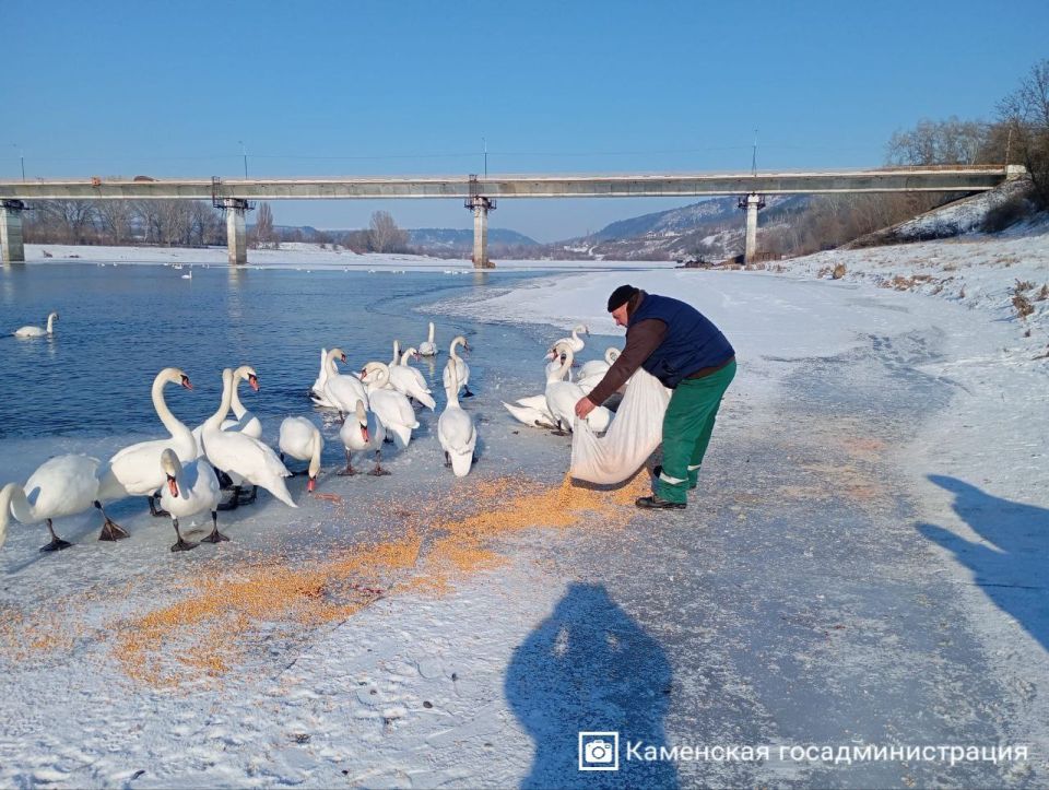 ������� ������� ������!. ��������������� ������������� ���������� ������ � �. ������� ��������� � ��������� �������� ��������� ��������� � ��������� ���������� ������� ������ �������������� � ����� ������ ������� � ������...