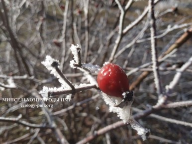 ������� ����!. ������� ������ �� �������, 19 ������