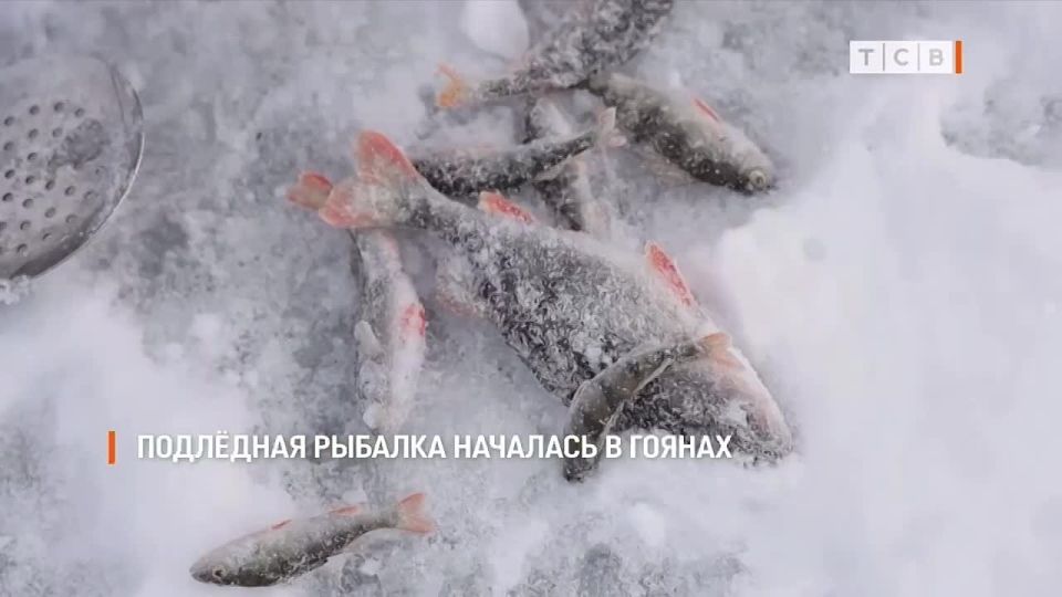 Дубоссарский рыбак ради кота сидит на льду водохранилища в минус 10. Чтоб не было холодно, слушает по радио про британские спецслужбы и сосёт чупа-чупс